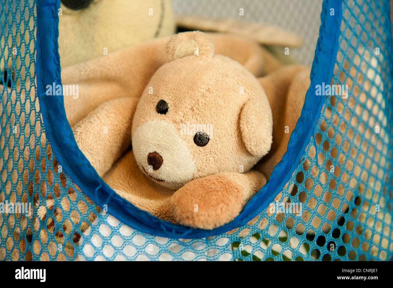 Teddy bear in basket Stock Photo