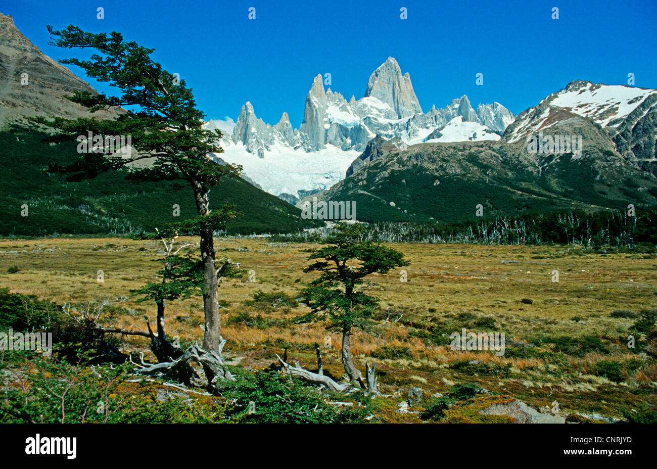 Summit Of The Fritz Roy Argentina Patagonia Stock Photo Alamy