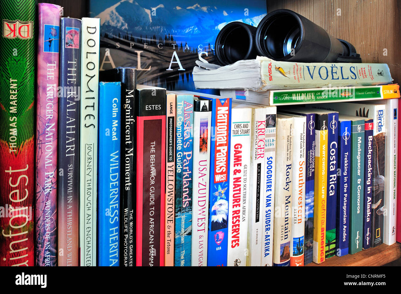 Collection showing assortment of travel guides and guidebooks about worldwide holiday destinations on a bookcase bookshelf Stock Photo