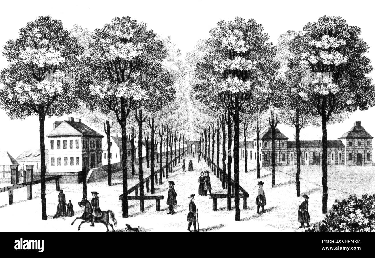 Linden allee unter den linden hi-res stock photography and images - Alamy Linden allee unter den linden hi-res stock photography and images - Alamy