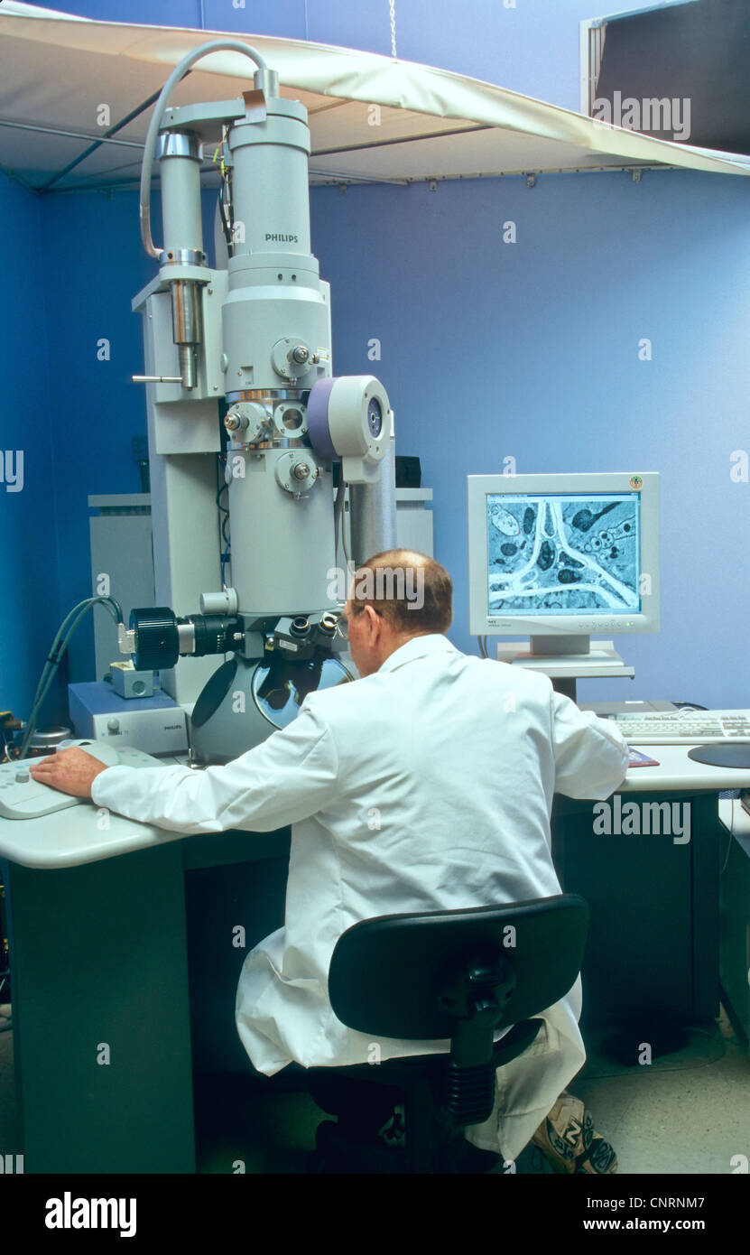 Transmission Electron microscope, scientist/researcher. Stock Photo
