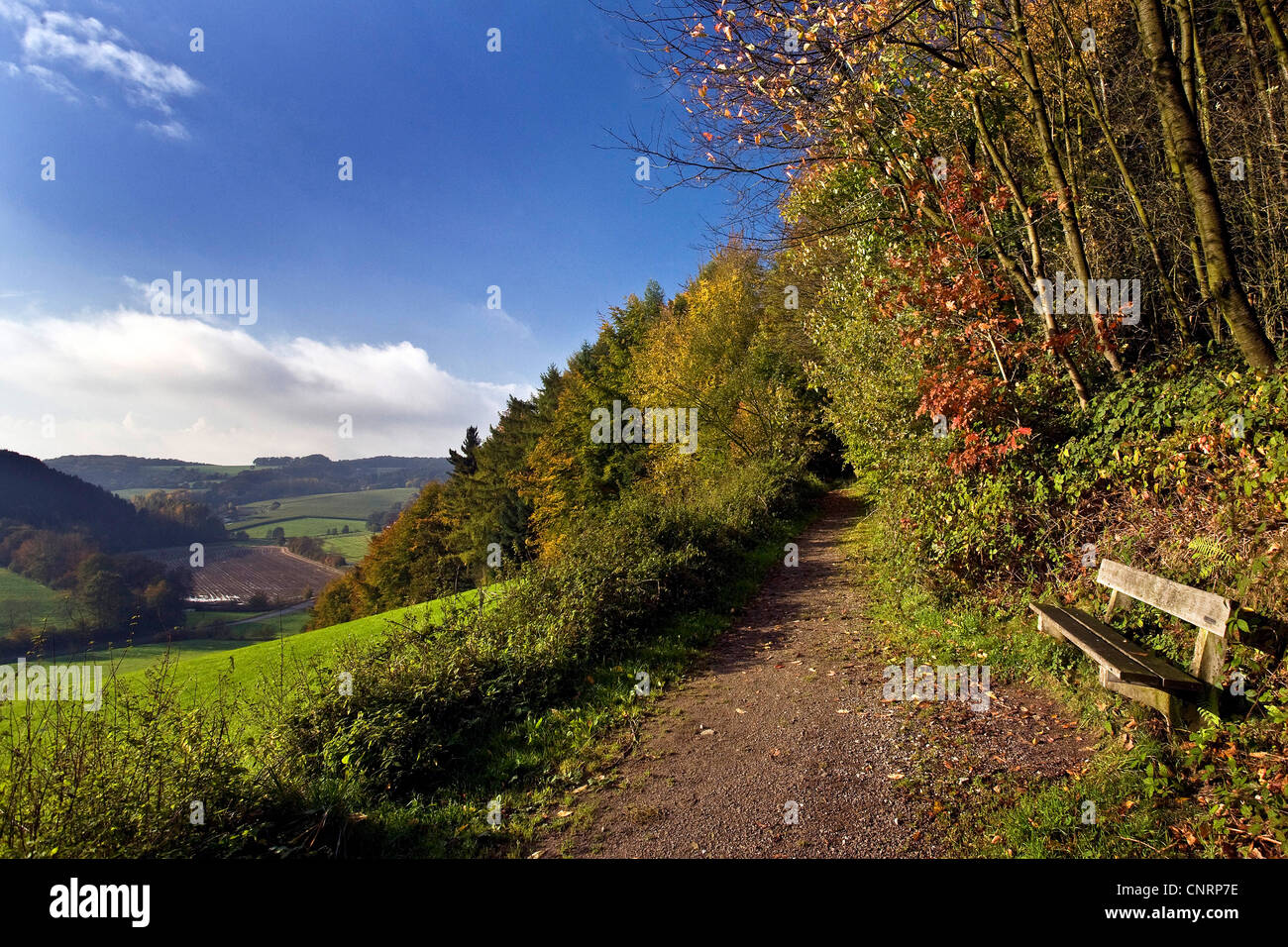 autumn landscape of the Elfringhauser Schweiz, Germany, North Rhine-Westphalia Stock Photo