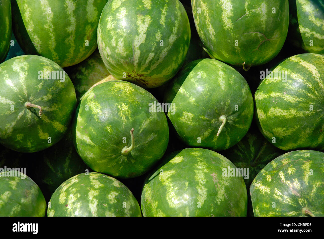 water melon (Citrullus lanatus), water melons at market, Turkey Stock Photo