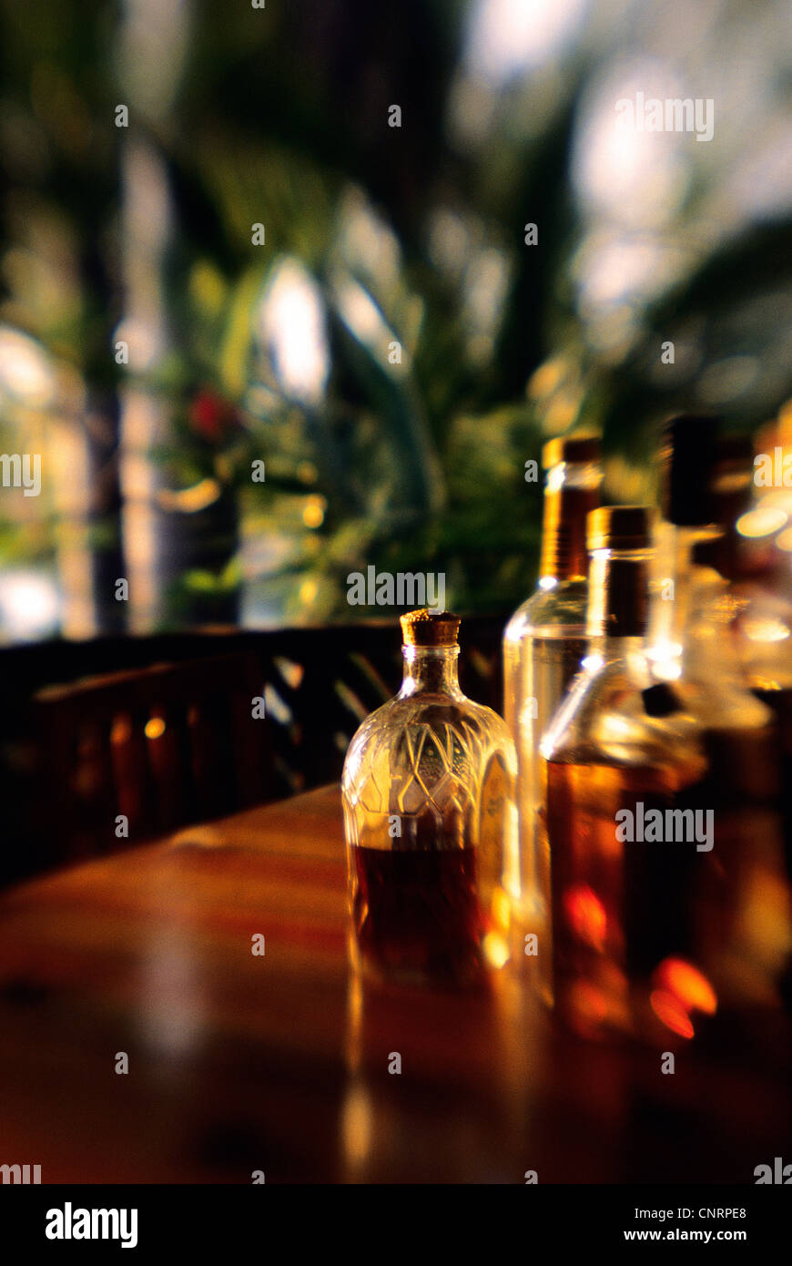 Happy hour at a beach bar in Roatan. Stock Photo