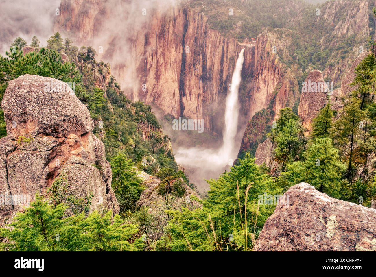 Basaseachi Falls in Chihuahua, Mexico. Stock Photo