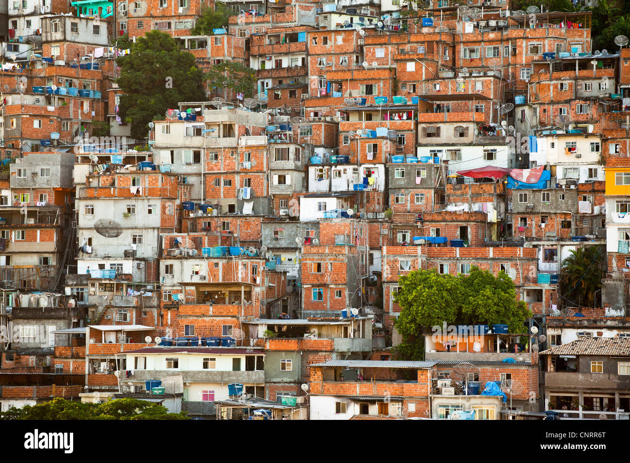 Favela Pavao Pavaozinho in Copacabana, Rio de Janeiro, Brazil. Stock Photo