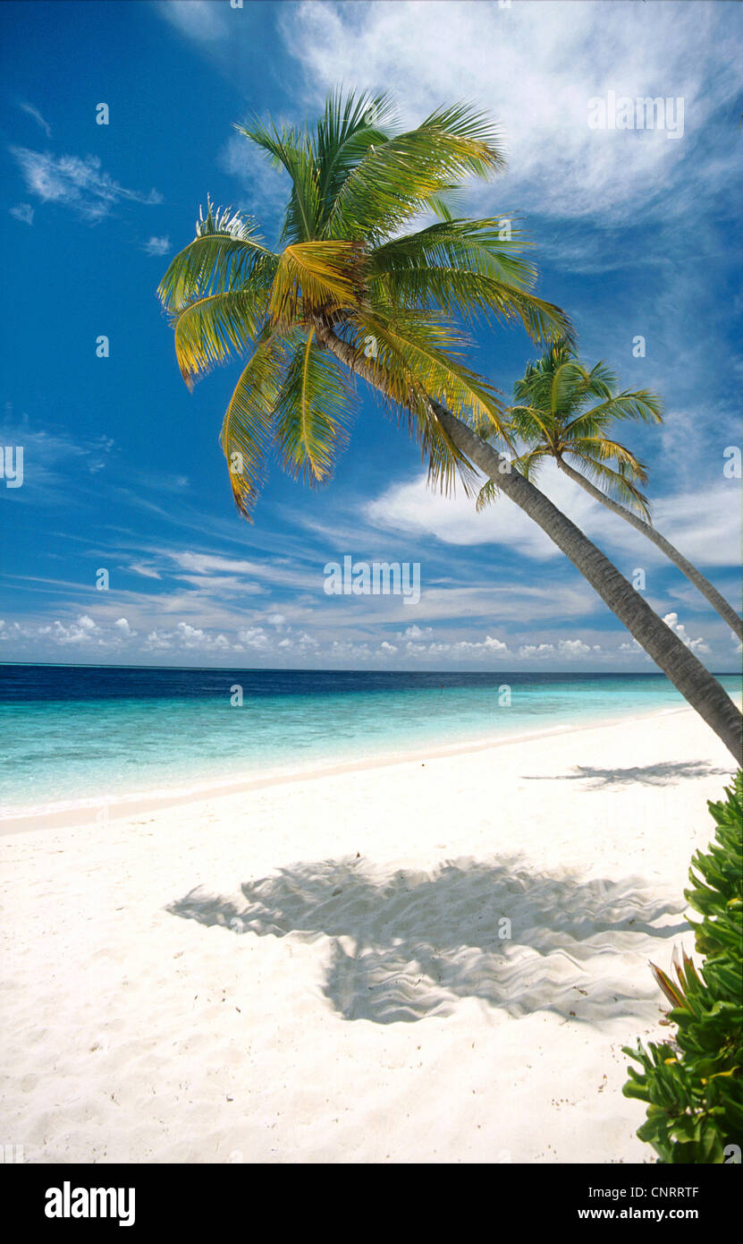 palm beach, Maldives Stock Photo
