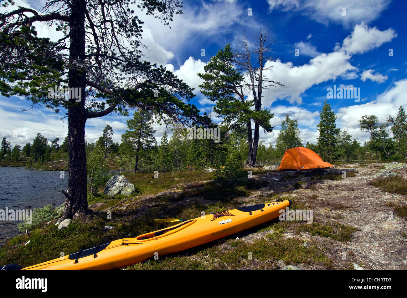 tent at the foot of a pine at Rogen Nature Reserve, Sweden, Haerjedalen Stock Photo