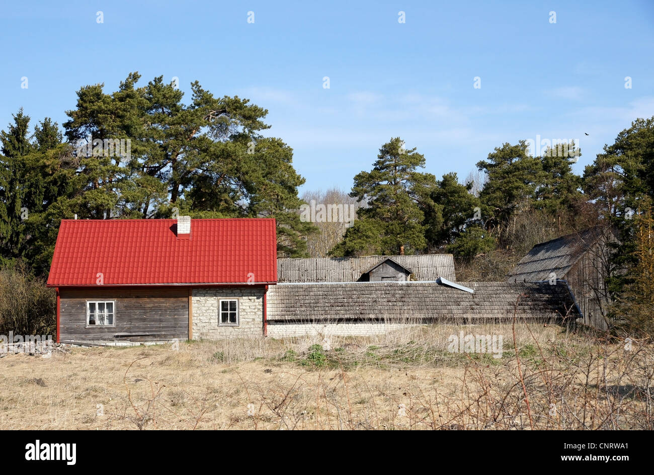 The house in a countryside on a background of trees and the blue sky ...