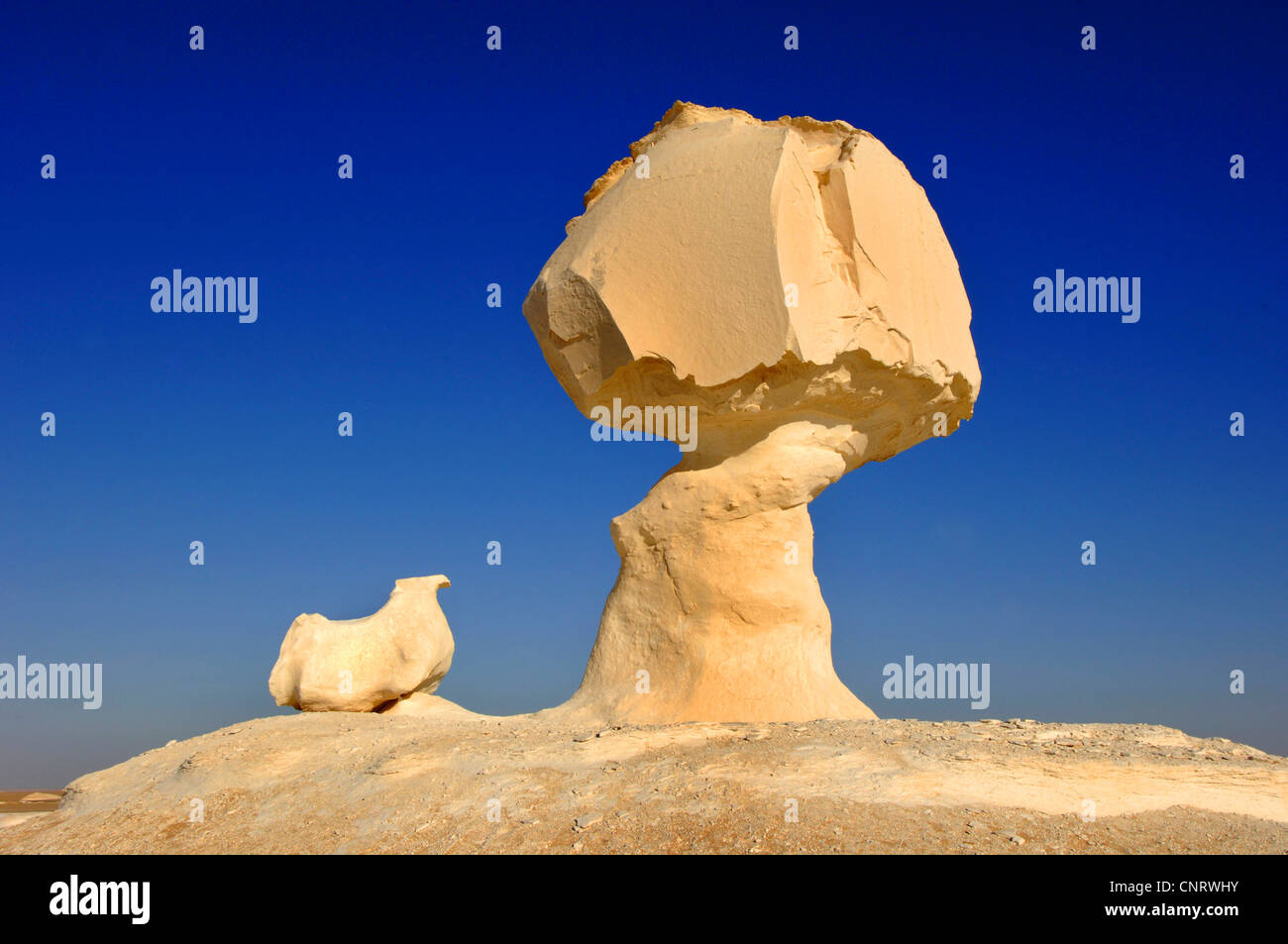 rock fomation in the white desert, Egypt, White Desert National Park ...