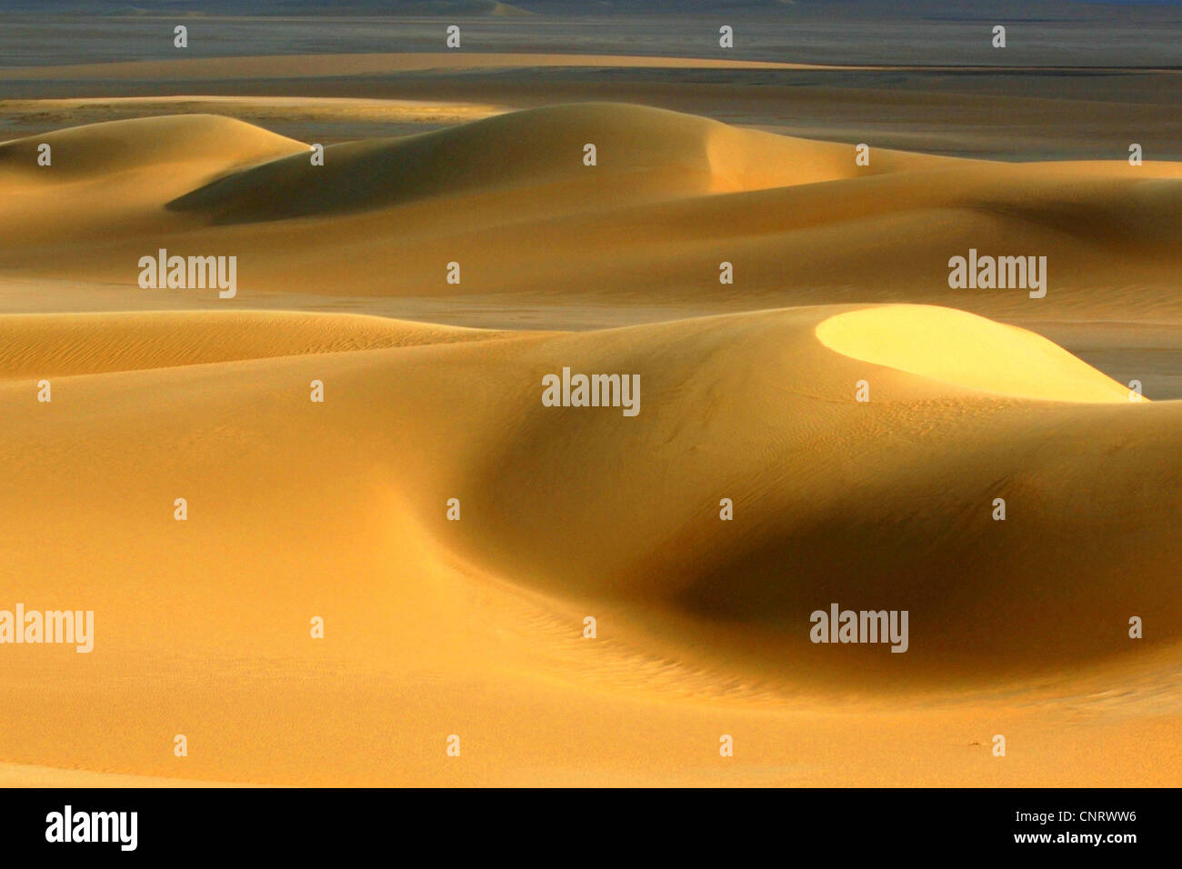 the Great Sand Sea, Egypt, Sahara Stock Photo - Alamy