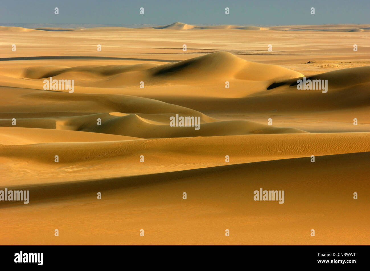 the Great Sand Sea, Egypt, Sahara Stock Photo - Alamy