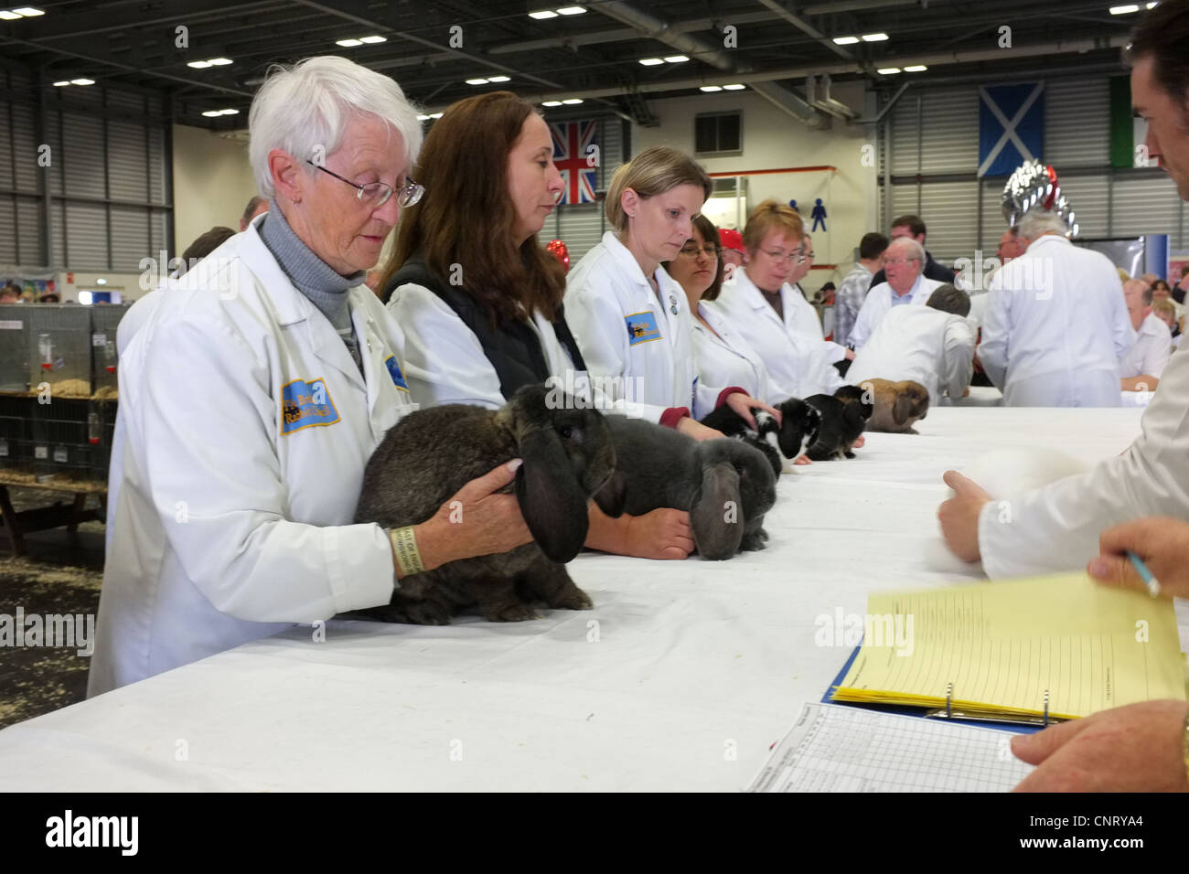 Show with animal hi-res stock photography and images - Alamy