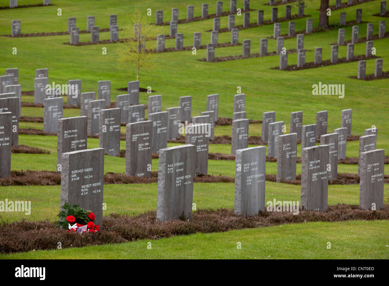 German War Cemetery, Cannock Chase, Staffordshire, UK. Stock Photo
