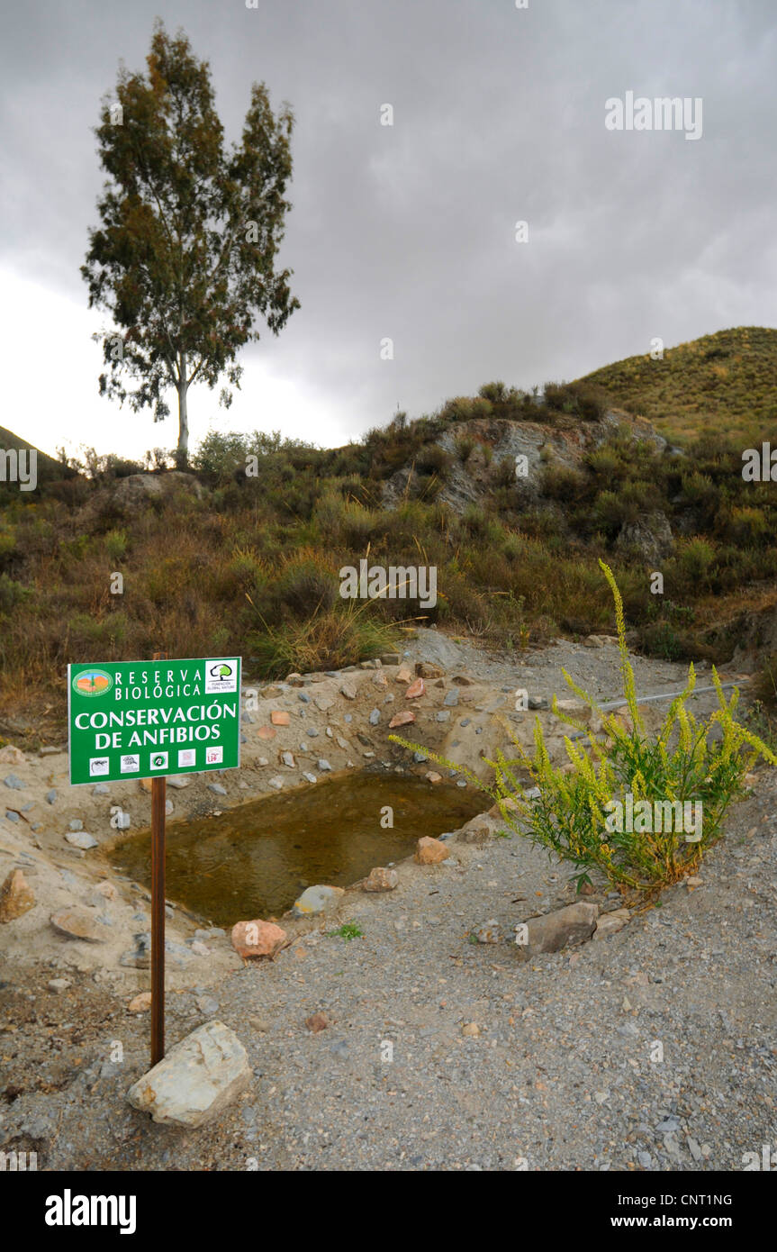 pond for amphibians in a spanisch nature reserve with information sign, Spain Stock Photo