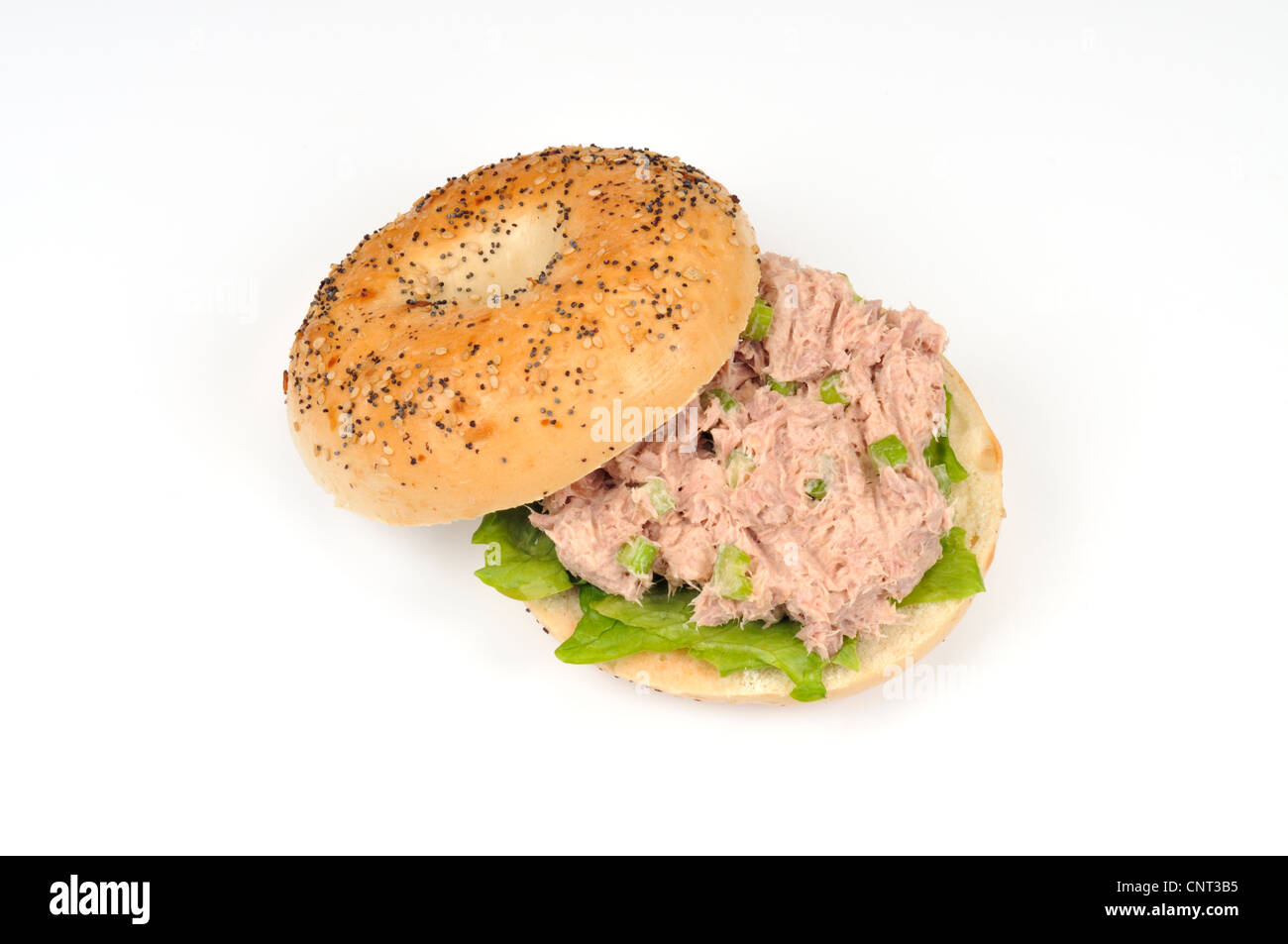 Tuna salad sandwich on an everything seeded bagel Stock Photo Alamy