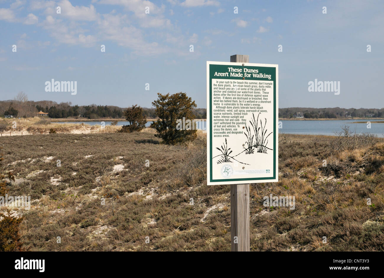 Sign on a Cape Cod beach to prohibit walking on the sand dunes to protect an environmentally sensitive area, USA. Stock Photo