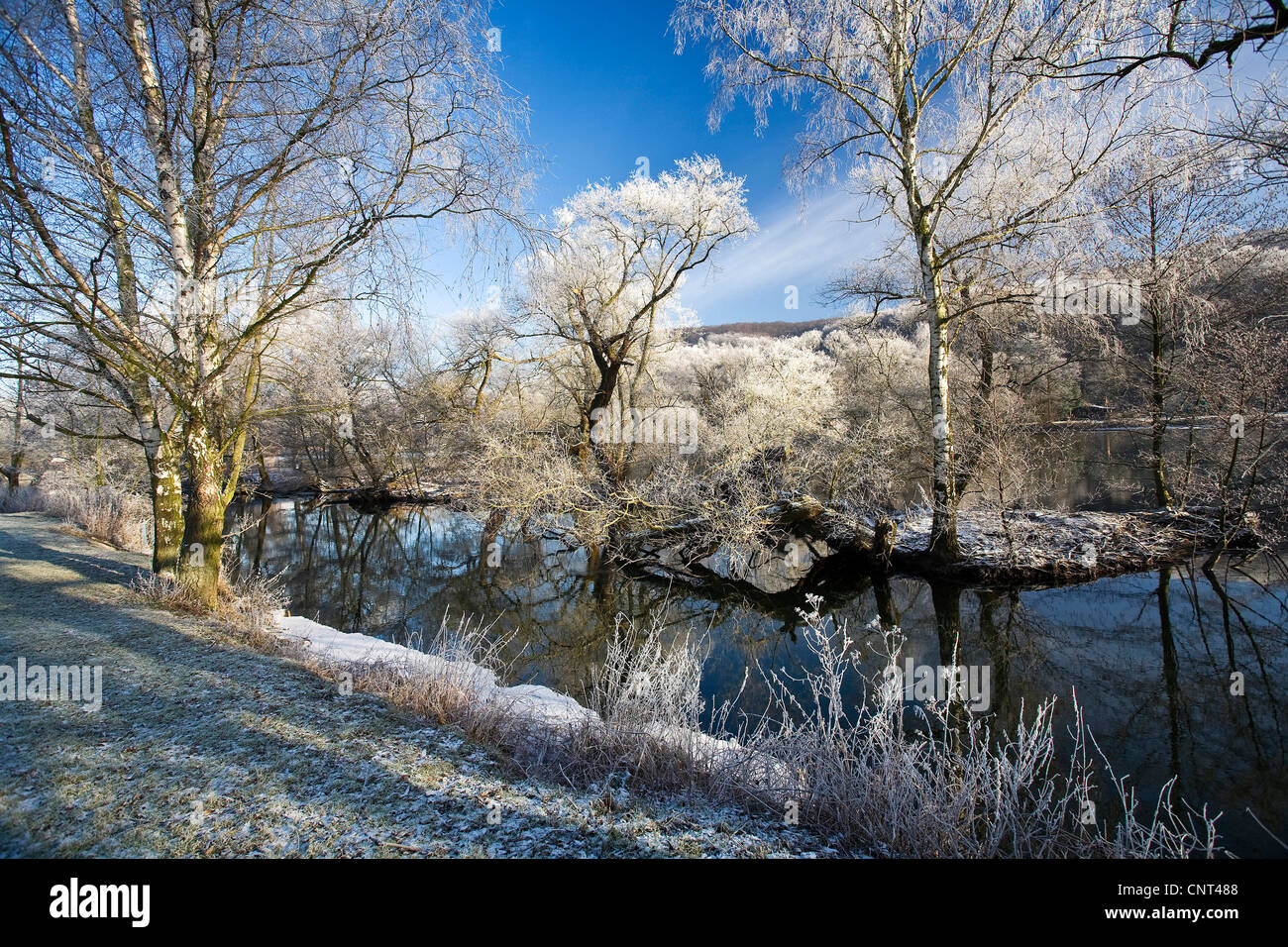 Ruhr valley in winter, trees with hoar frost, Germany, North Rhine-Westphalia, Ruhr Area, Hattingen Stock Photo