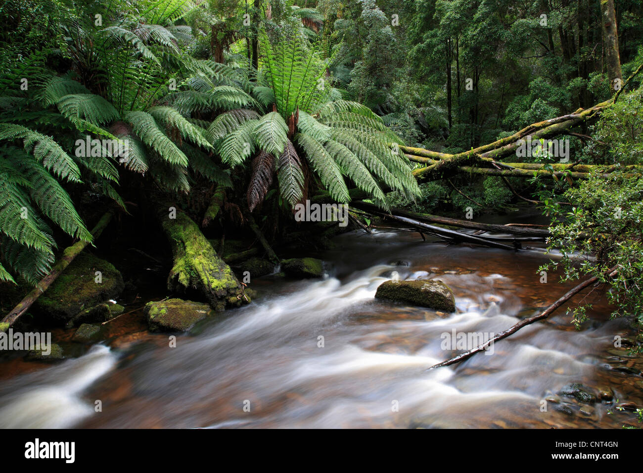 Nelson river near queenstown hires stock photography and images Alamy