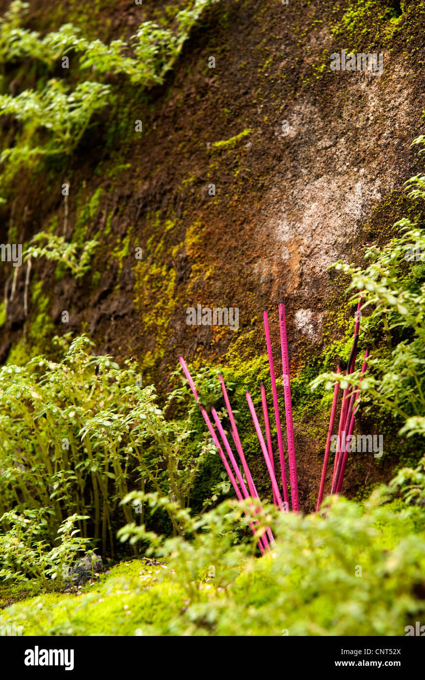 Incense sticks on a mossy weathered wall, Hoi An, Viet Nam Stock Photo