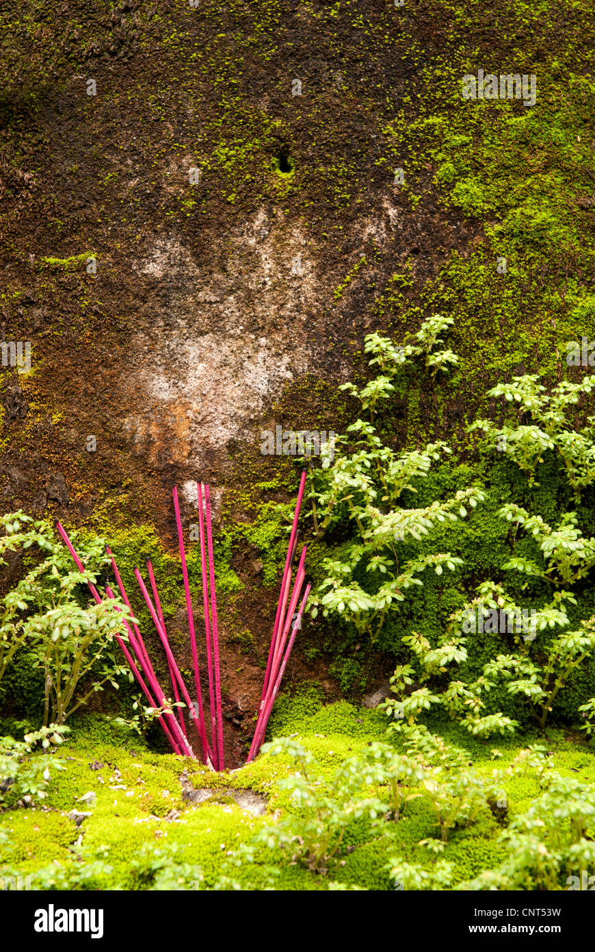 Incense sticks on a mossy weathered wall, Hoi An, Viet Nam Stock Photo