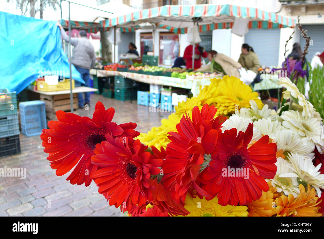 Booth Assistant High Resolution Stock Photography and Images - Alamy