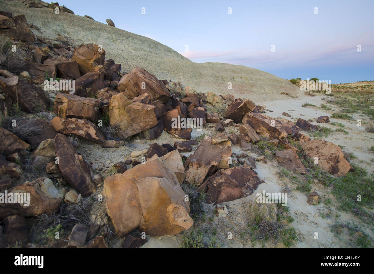 Erosion of sandstone hi-res stock photography and images - Alamy