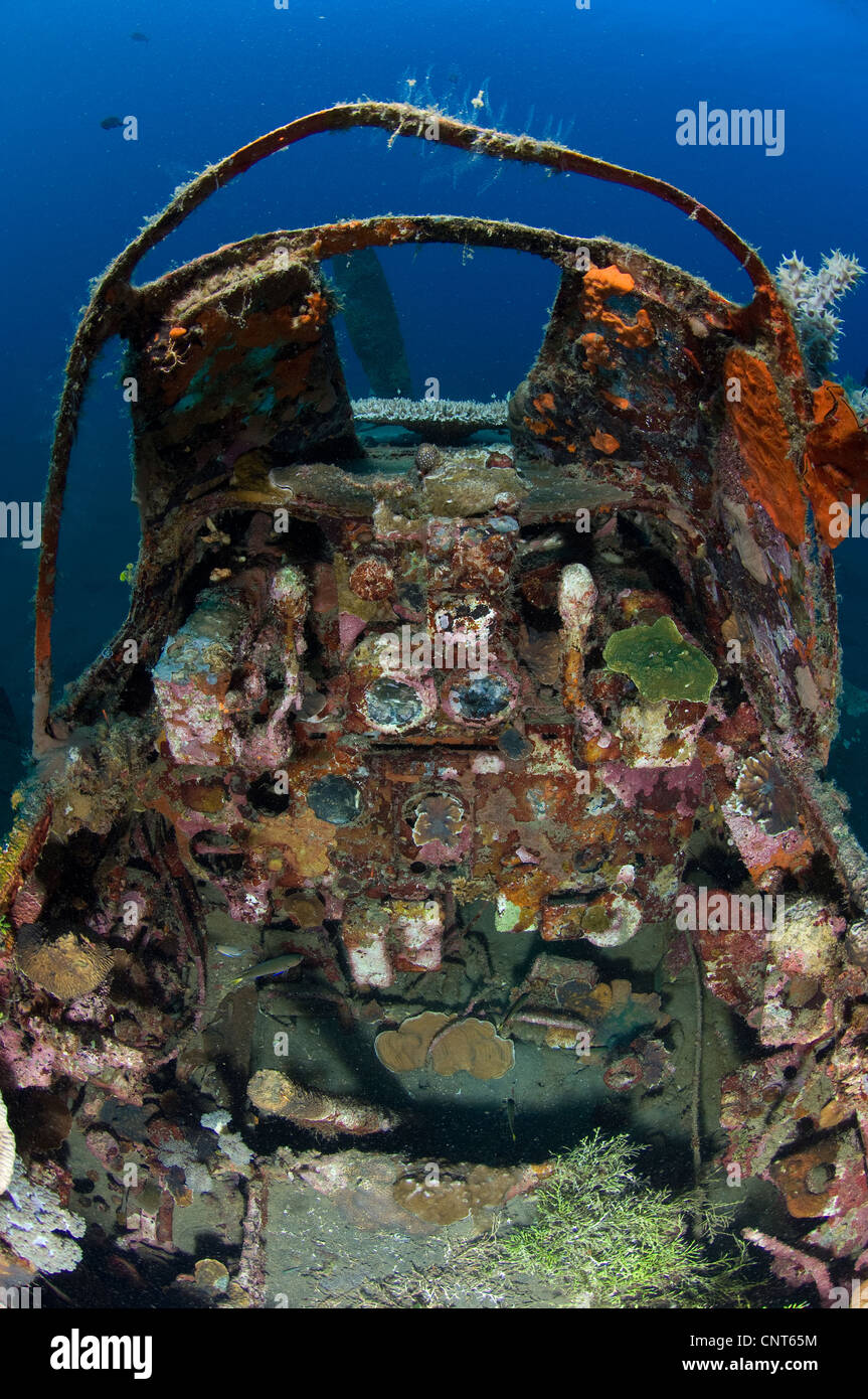 Cockpit of a Mitsubishi Zero fighter plane wreck underwater, Kimbe Bay, Papua New Guinea. Stock Photo