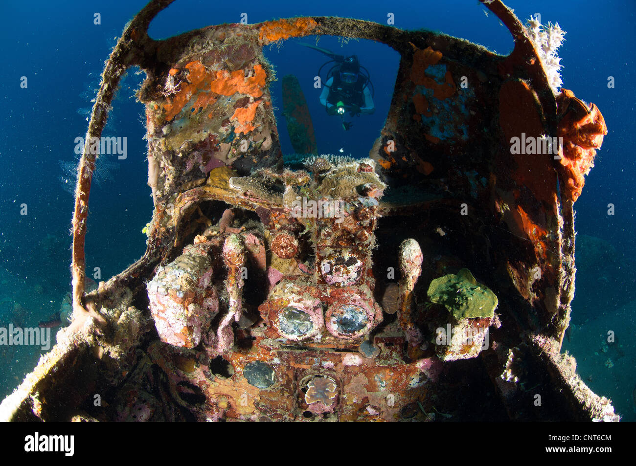 Cockpit of a Mitsubishi Zero fighter plane wreck underwater, Kimbe Bay, Papua New Guinea. Stock Photo