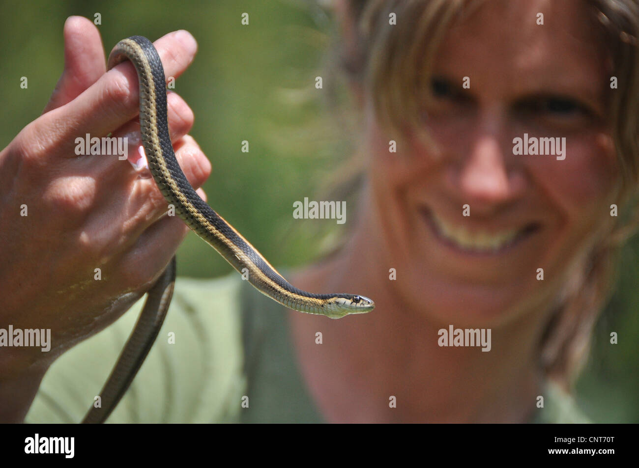 https://c8.alamy.com/comp/CNT70T/young-girl-garter-snake-smile-happy-wildlife-reptile-animal-youth-CNT70T.jpg