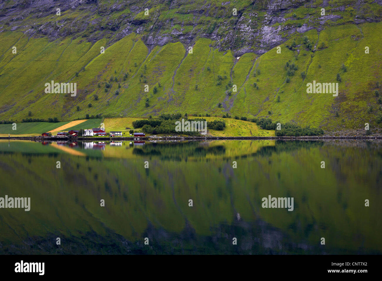 accumulation of houses at the Norangsfiord, Norway, Sunnmore, Mittelnorwegen Stock Photo