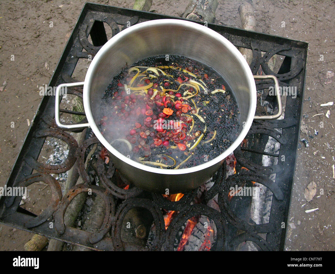 children cooking a fruit teaa of different wild fruits, Germany Stock ...