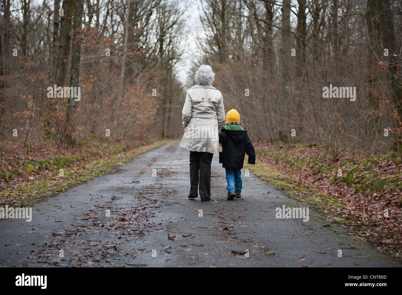 Grandmother and grandson walking in woods, holding hands, rear view Stock Photo