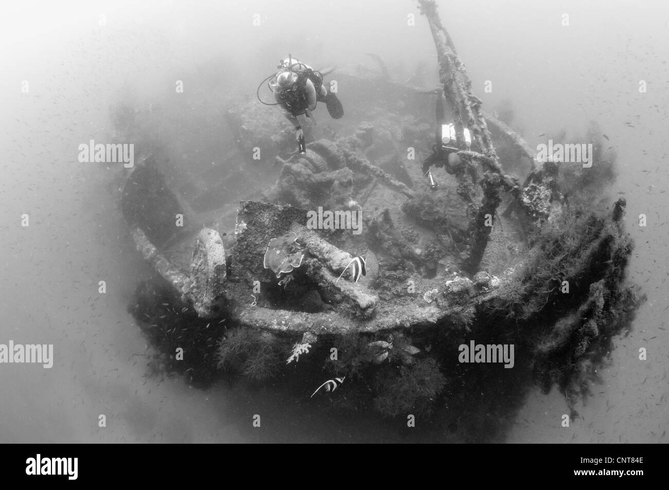 Scuba divers explore the wreck of a Japanese Maru warship sunk during World War 2, Morovo Lagoon, Solomon Islands. Stock Photo