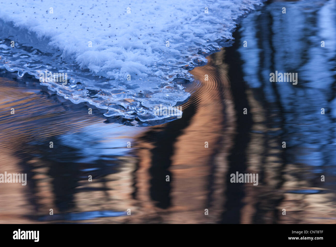 snow covered river landscape mirrored in water, Germany, Saxony, Vogtlaendische Schweiz Stock Photo