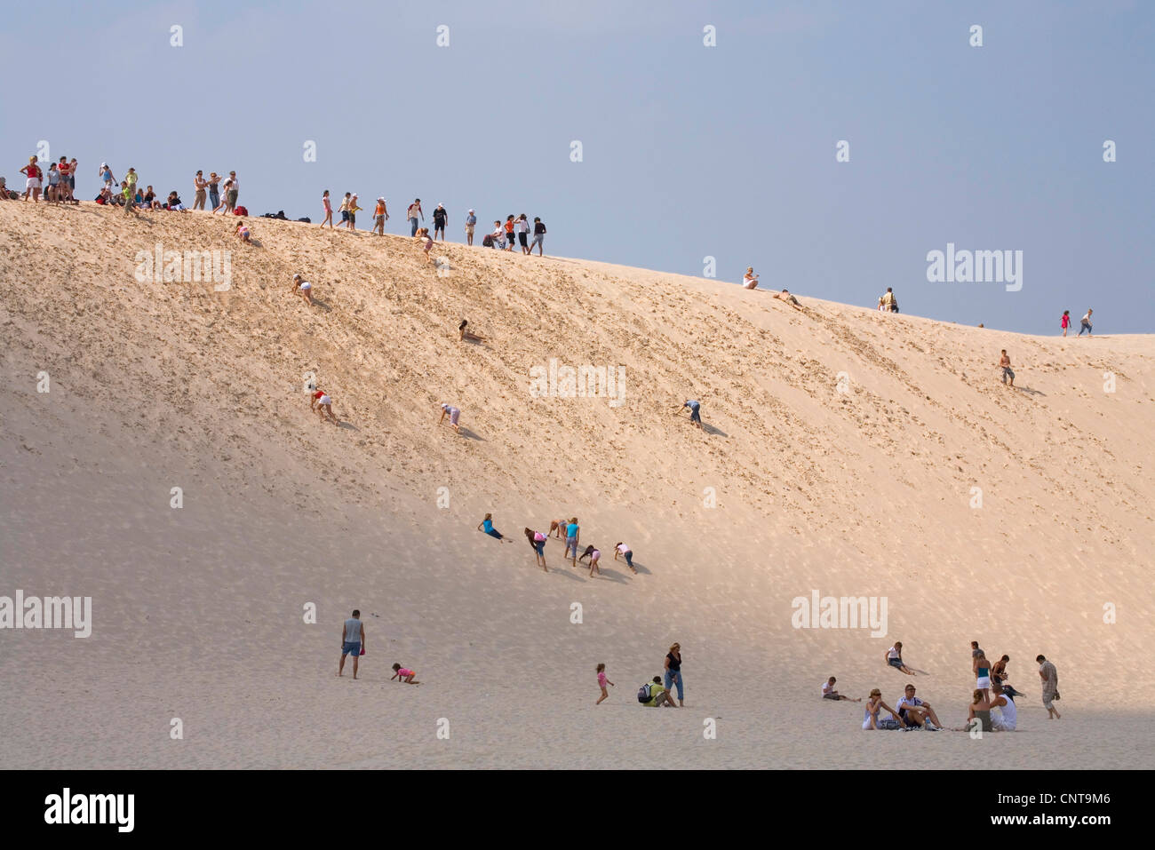 shifting sand dune, Poland, Slowinski National Park Stock Photo