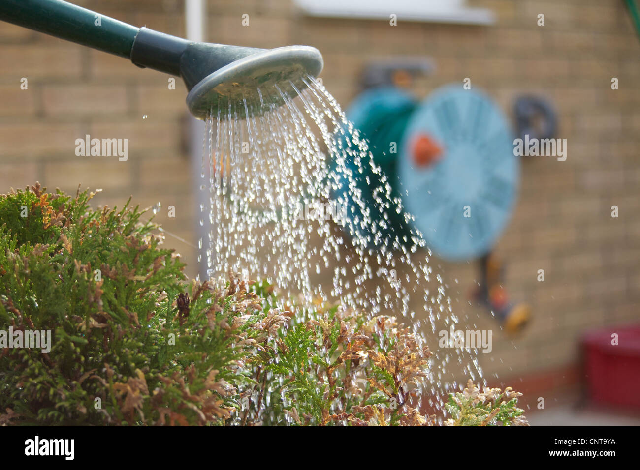 Garden hose reel hires stock photography and images Alamy