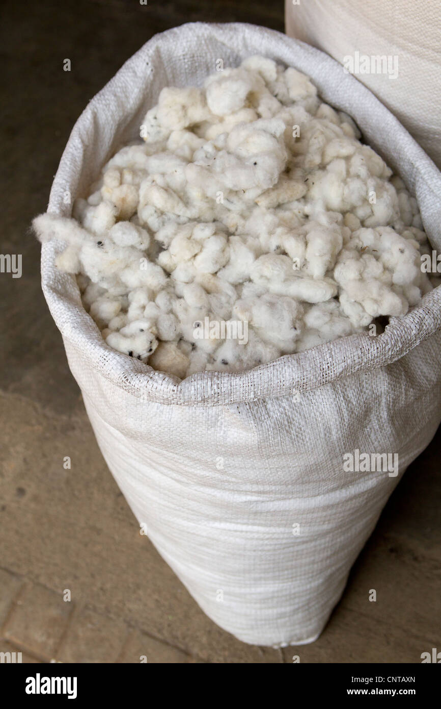 Bag of cotton Stock Photo