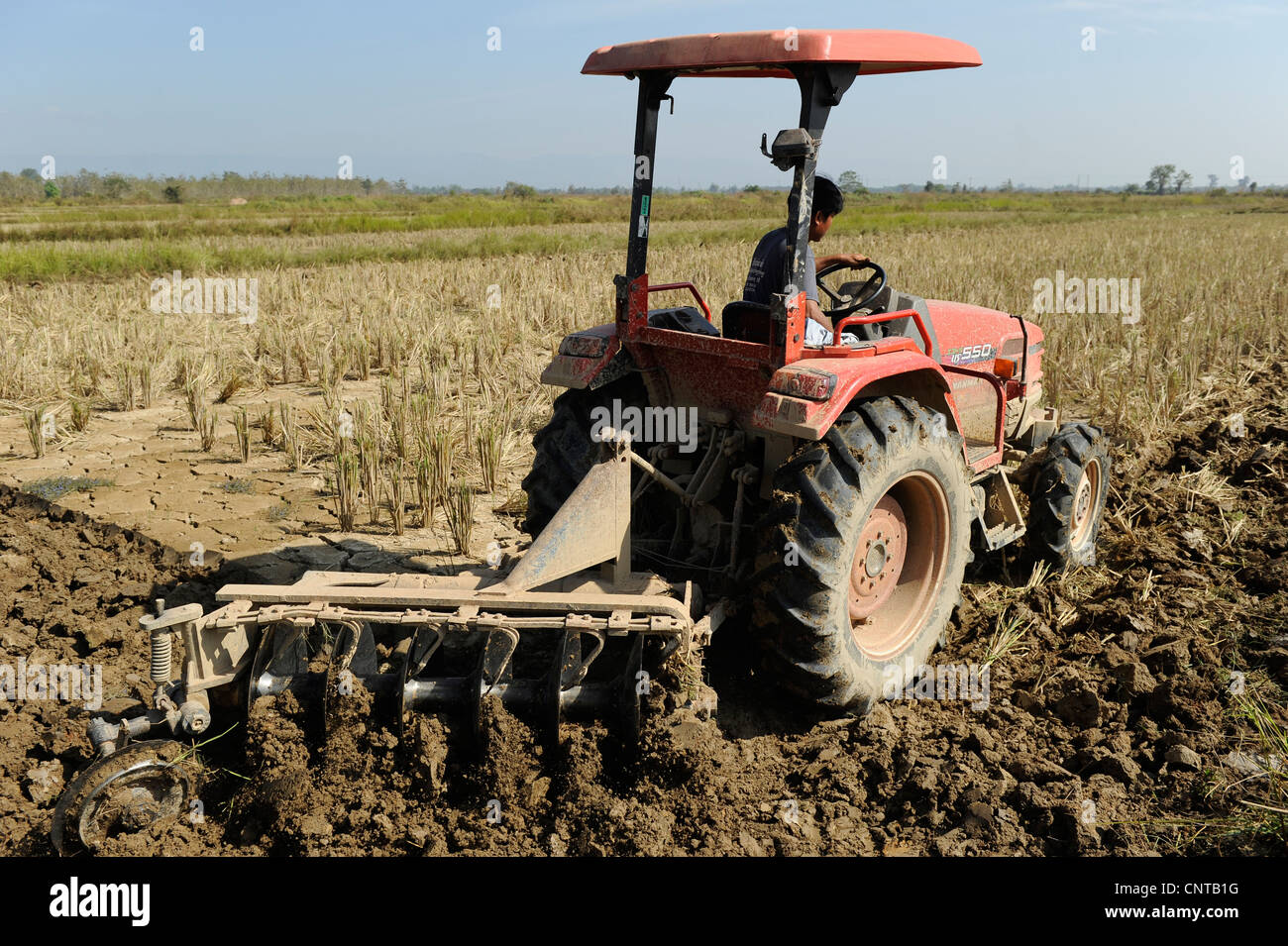 Laos Vientiane NAFRI research institute for agriculture and forestry, rice research and gene bank , hybrid seed production Stock Photo