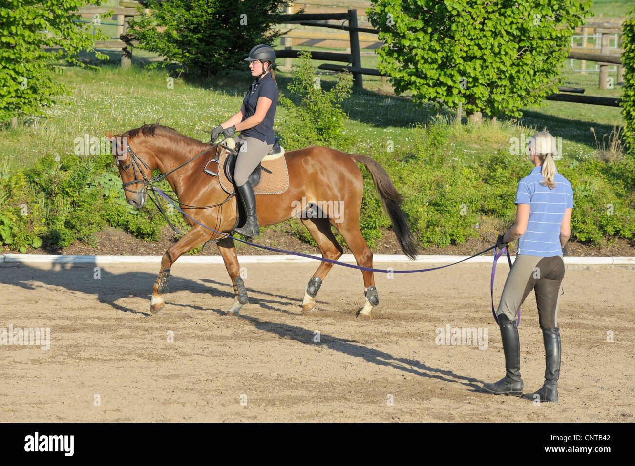 Think, that Lunging the adult rider book are not Lunging the adult rider book explain