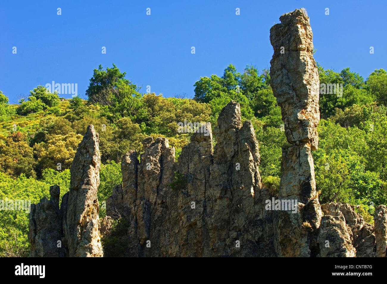 bizarre rock in national parc of Cevennes, France, Lozere, Cevennes National Park Stock Photo