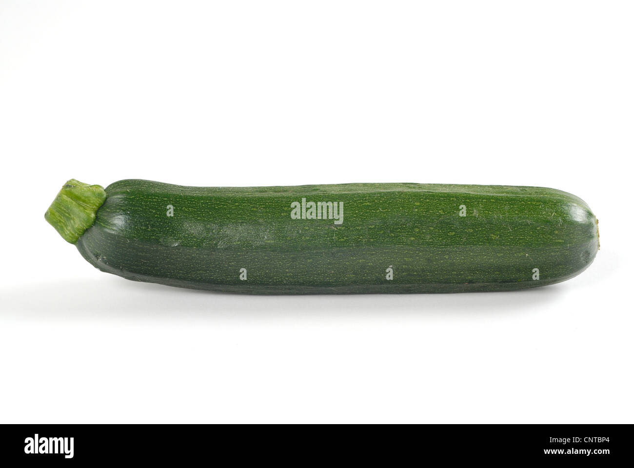 a zucchini on white background Stock Photo