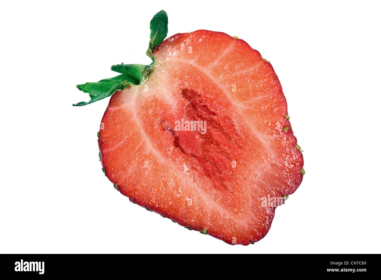 hybrid strawberry, garden strawberry (Fragaria x ananassa, Fragaria ananassa), Sliced strawberry on white background Stock Photo