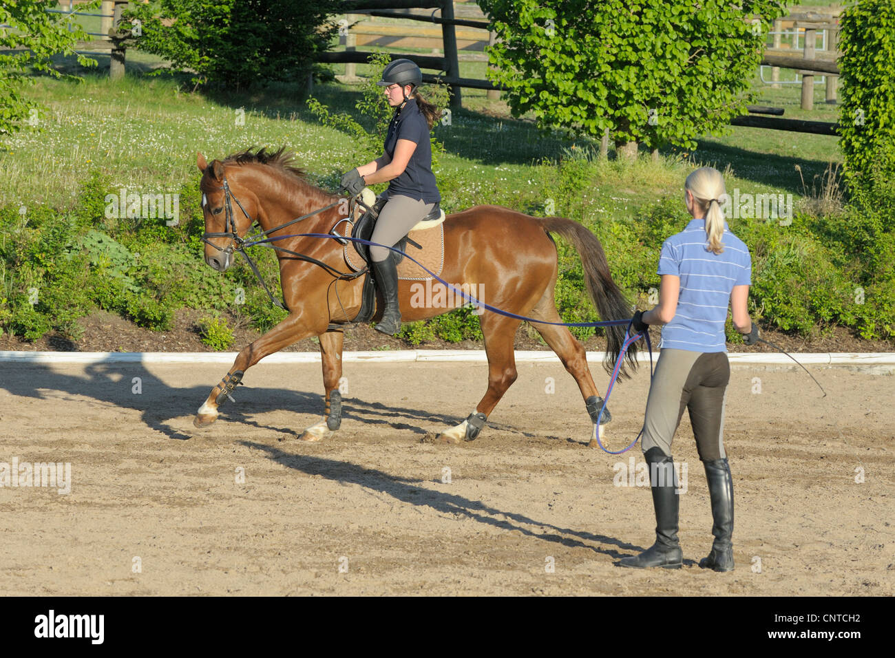 Lunge lesson horse hires stock photography and images Alamy