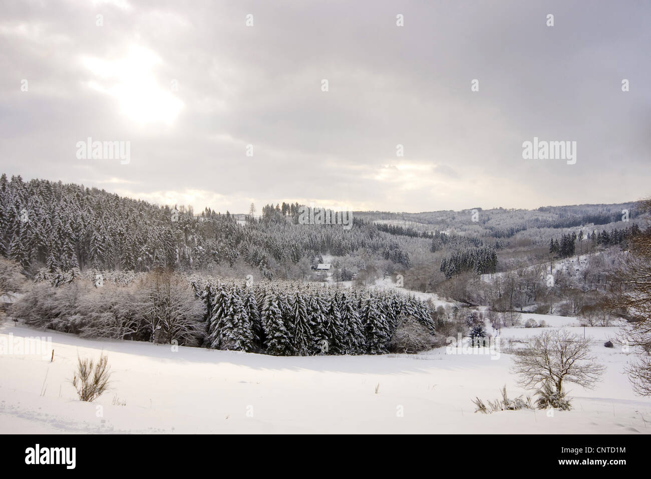 single residential building in a snow covered forest and meadow landscape, Germany, Rhineland-Palatinate, Niederfischbach Stock Photo