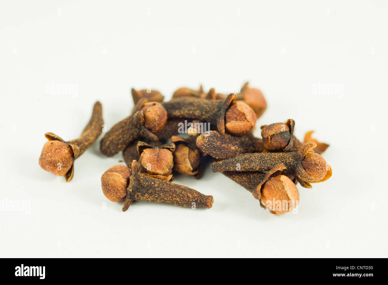 Cloves on a white background Stock Photo