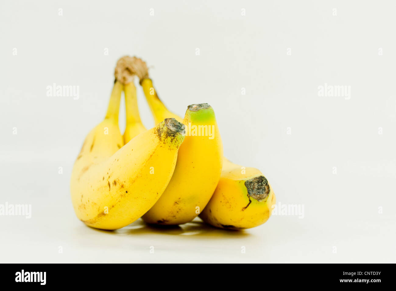A Bunch of Three Bananas Stock Photo