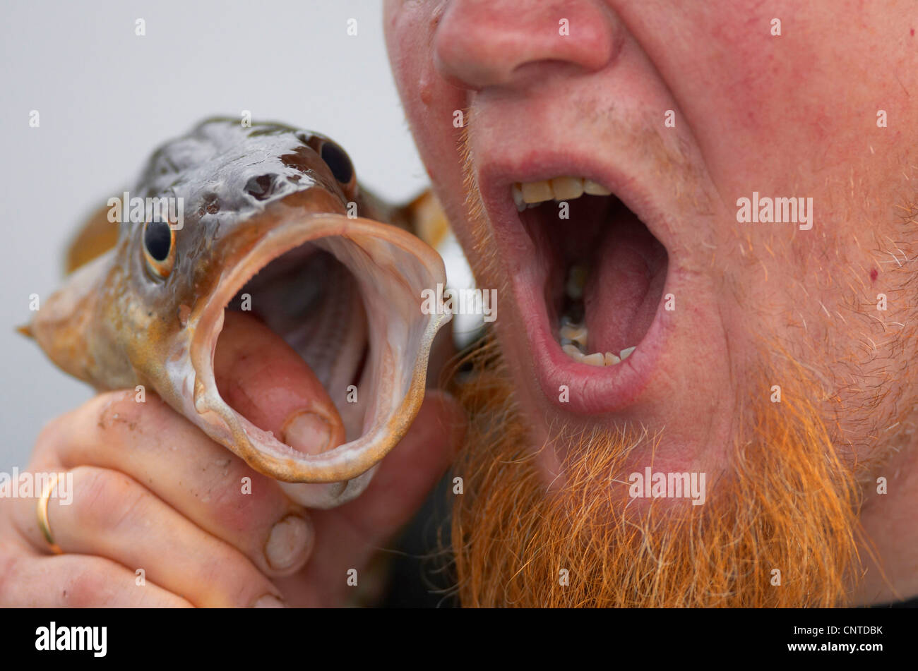 Open mouth view atlantic hi-res stock photography and images - Alamy