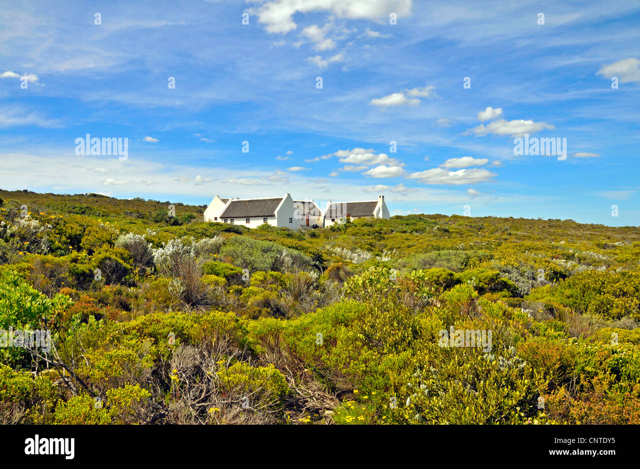 holiday bungalows in De Hoop Nature Reserve, South Africa, 1 Stock Photo