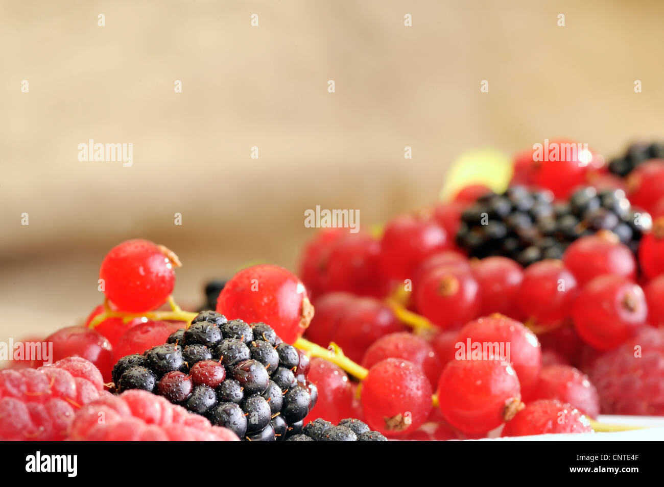 Berries detail hi-res stock photography and images - Alamy